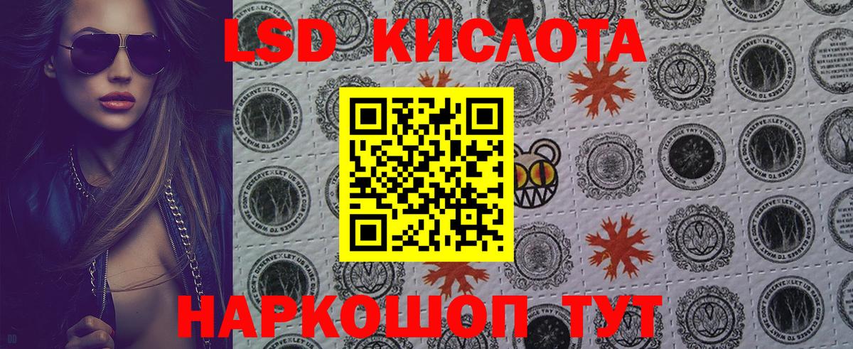 Губкин  Марки N-bome 1500мкг  Марки N-bome 1500мкг  Вход с VPN 
