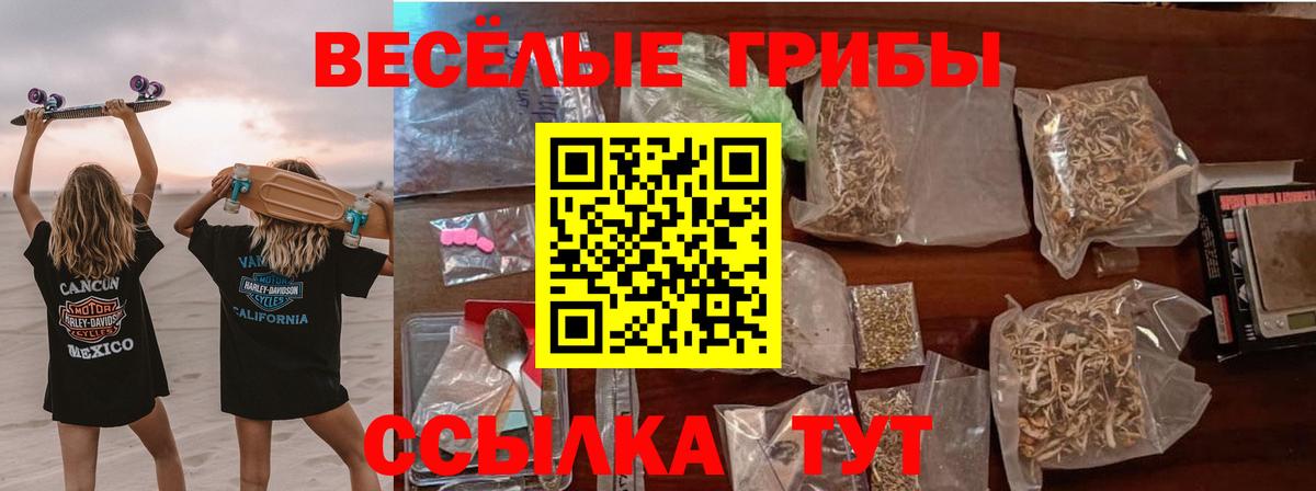 Псилоцибиновые грибы ЛСД  Вход с VPN  Губкин  Псилоцибиновые грибы MAGIC MUSHROOMS 